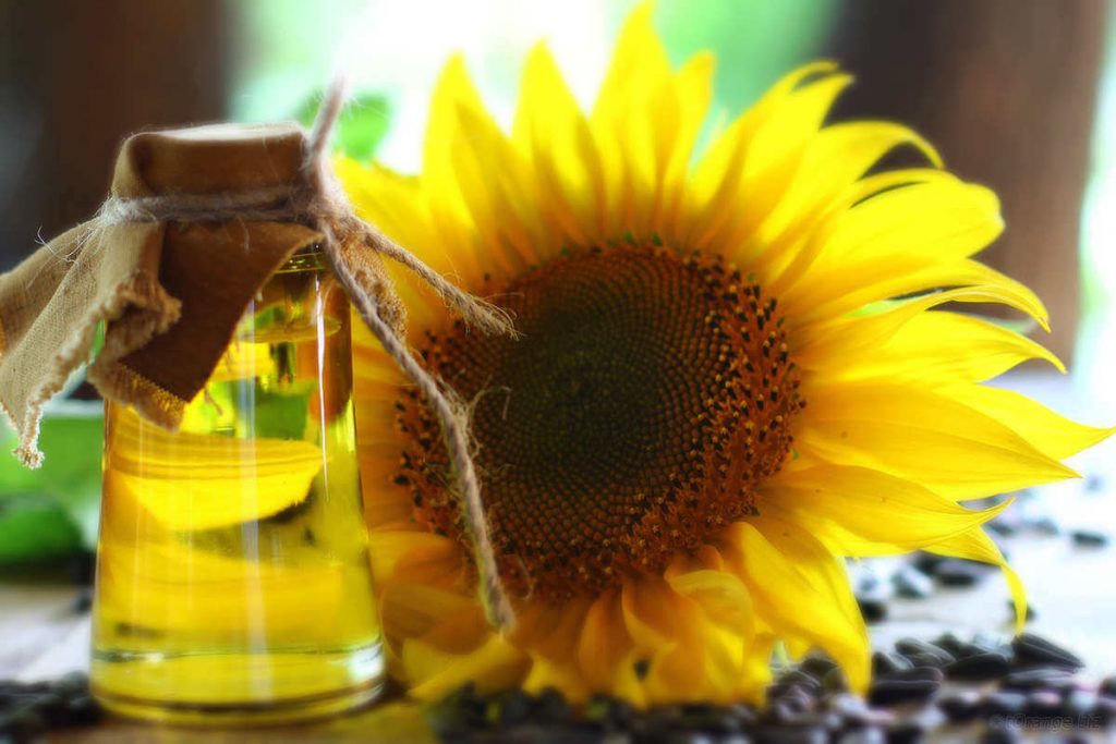 Olio di Girasole